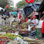 Brasil. Bolsonaro ataca reforma agraria y agricultura familiar con decreto