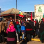 Nación Mapuche. Denuncian a empresas forestales