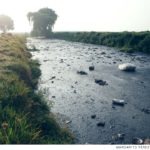 México. 78% de las muertes por Covid-19 se concentra en zonas con mayor impacto ambiental