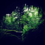 Argentina. Agricultura ancestral: El desafío de labrar la memoria