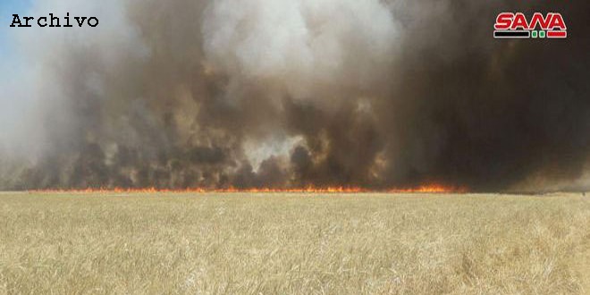 Ver imagen en Twitter