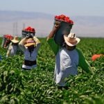 México. La ruta hacia el nuevo mundo posible