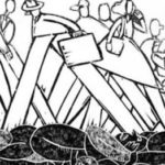 Puerto Rico. No somos blancos