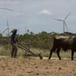 Brasil. PT: Alarma por expansión de Covid-19 a zonas rurales