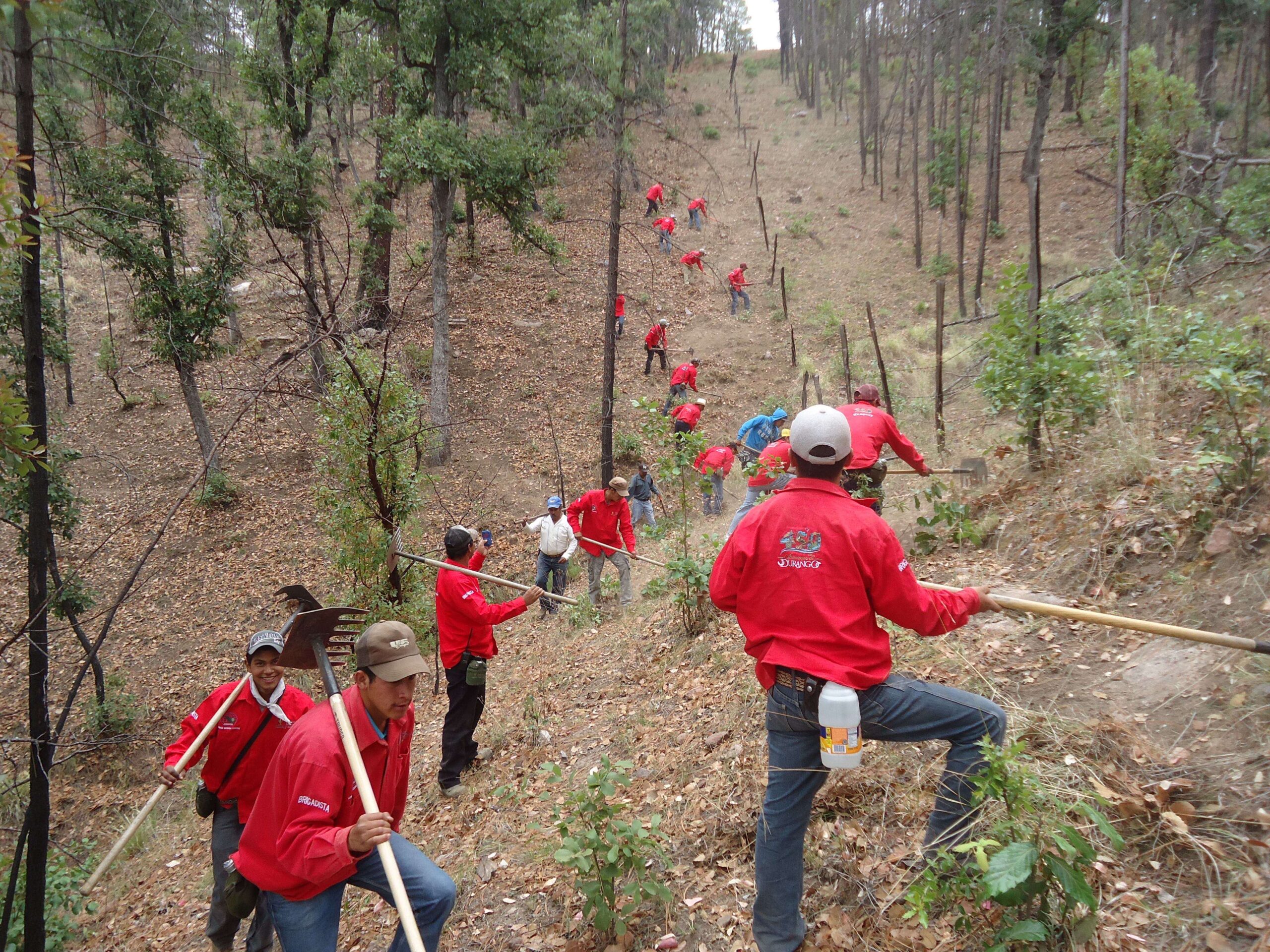 Prevención de incendios