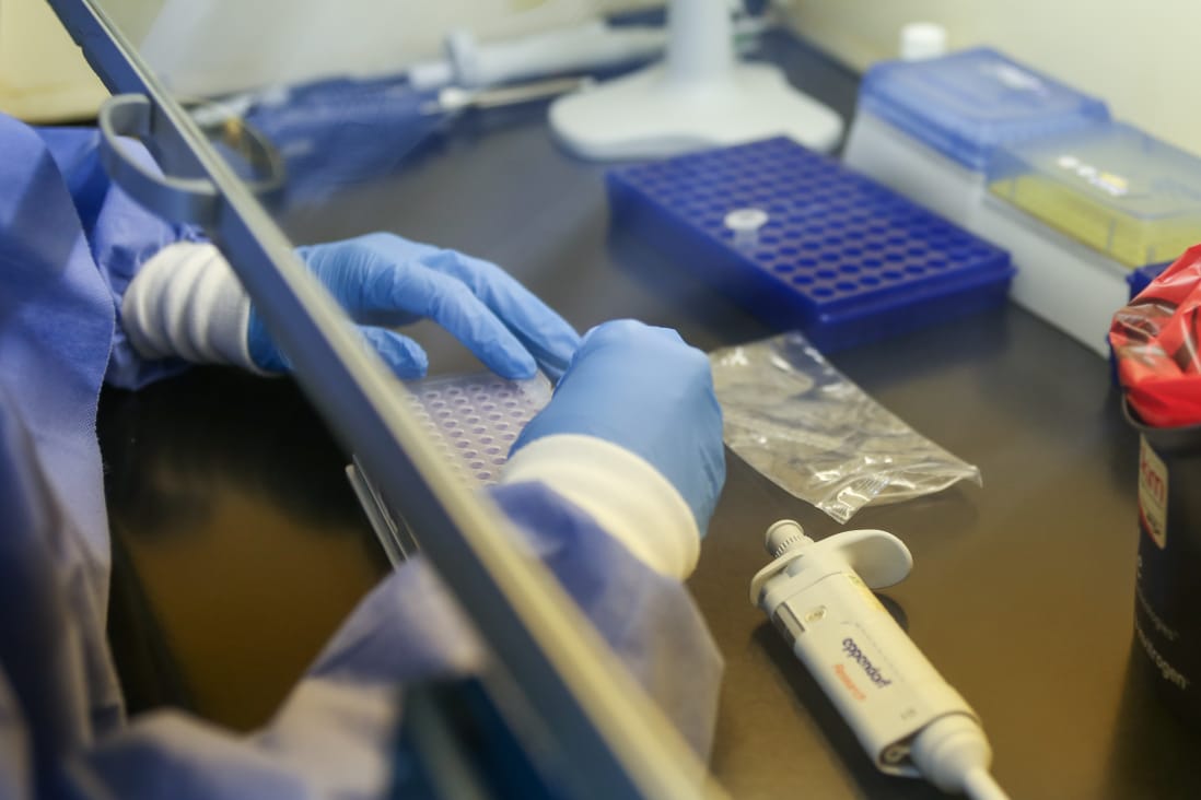 WhatsApp Image 2020-04-27 at 17.13.46