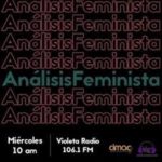 México. Destituciones de funcionarias de Conapred y CEAV, es violencia política, aseguran expertas