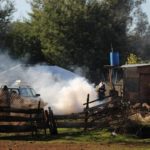 Nación Mapuche. INDH denuncia ante Fiscalía aborto involuntario a la viuda de Treuquil