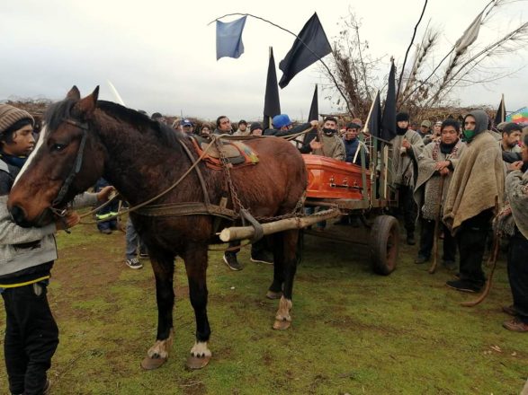 Imagen del eluwun del werken de la comunidad autónoma We Newen de Collipulli, Alejandro Treuquil. Foto: Twitter @caldillodetripa.