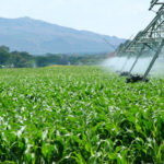 Ecología Social. La agroindustria, dispuesta a poner en riesgo de muerte a millones de personas