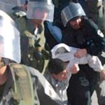 Palestina. 800 palestinos han sido arrestados por Israel en medio de la crisis del Coronavirus