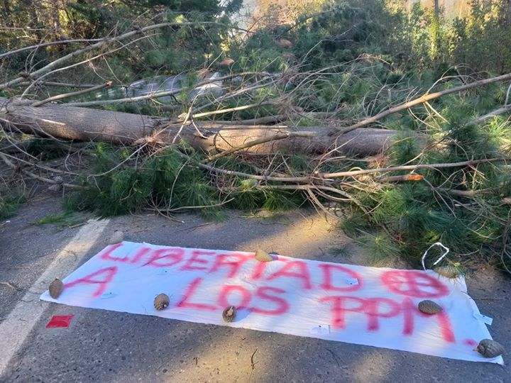 La imagen puede contener: exterior y naturaleza