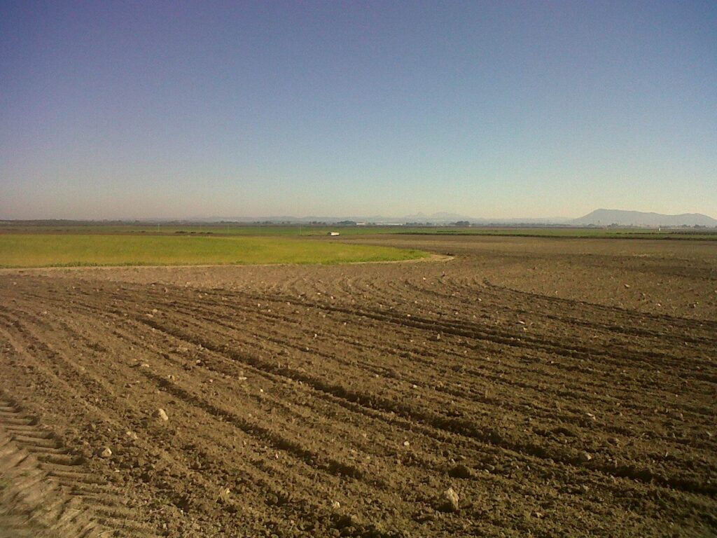 La Junta tramita un decreto para vender 5.000 hectáreas de tierras públicas – La otra Andalucía