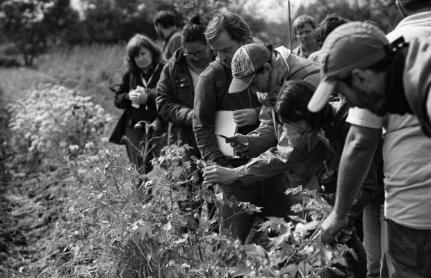 Argentina. De la academia al territorio: educación por una Soberanía Alimentaria