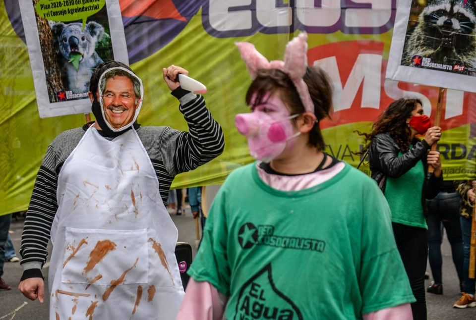 La imagen puede contener: 1 persona, de pie