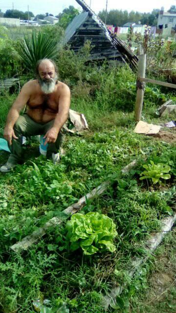 La imagen puede contener: 1 persona, planta, exterior y naturaleza