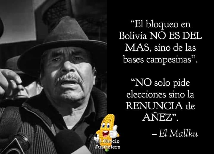 La imagen puede contener: 1 persona, sombrero, texto que dice ""El bloqueo en Bolivia NO ES DEL MAS, sino de las bases campesinas". "NO solo pide elecciones sino la RENUNCIA de A&Ntilde;EZ". -El Mallku El Choclo Justiciero"