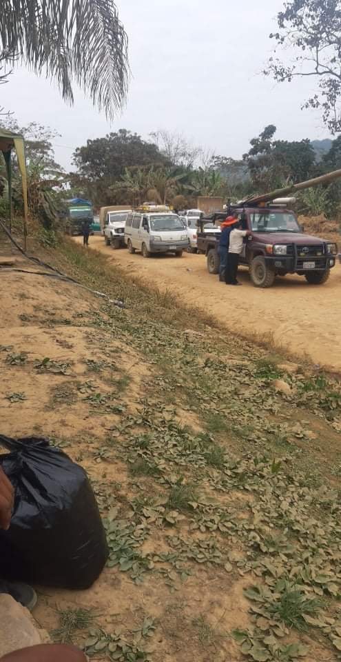 La imagen puede contener: una o varias personas, &aacute;rbol, cielo, exterior y naturaleza