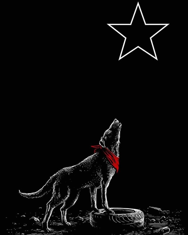 La imagen puede contener: noche