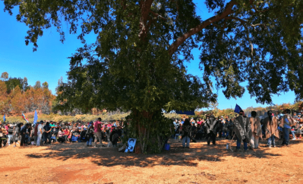Nación Mapuche. Finaliza el Lef Trawn (Encuentro) en Temucuicui. Declaración: fin a la invasión y violencia estatal chilena