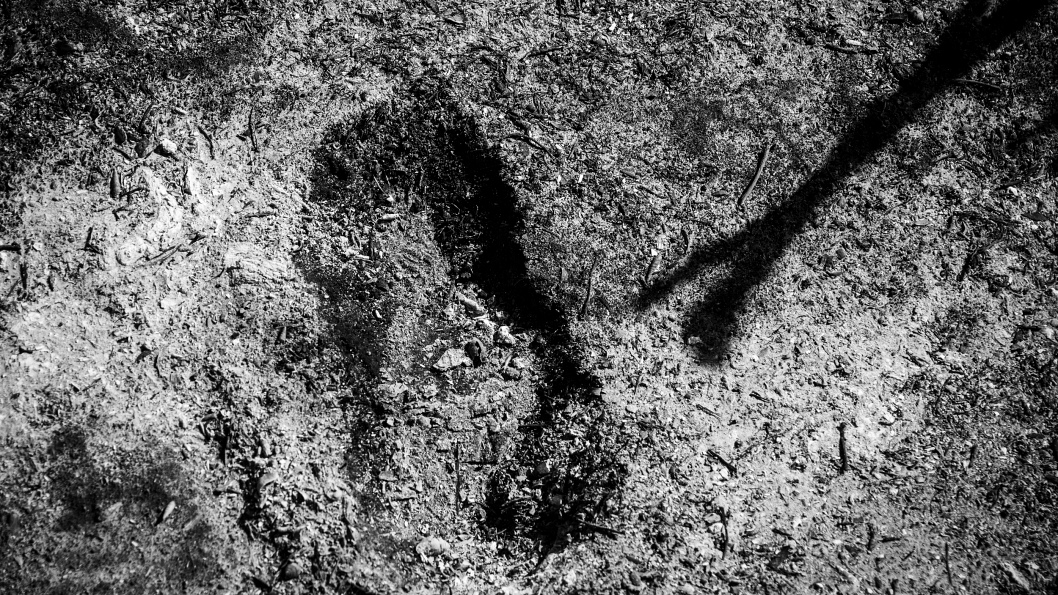 incendios-codebona-bosque-nativo2