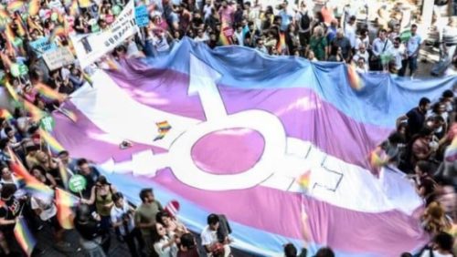 Disidencias. La izquierda y la cuestión trans