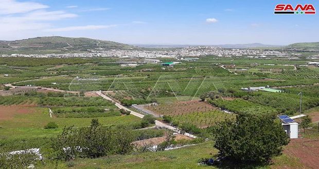 Siria. Fuerzas de ocupación israelíes secuestran a pastor sirio al sur del país