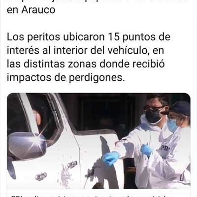 Nación Mapuche. Agrupación Grupo APRA estaría detrás de ataque y atentados