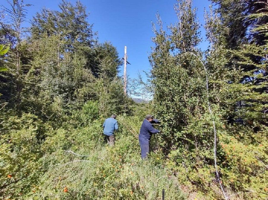 Foto: Andr&eacute;s Mermoud.