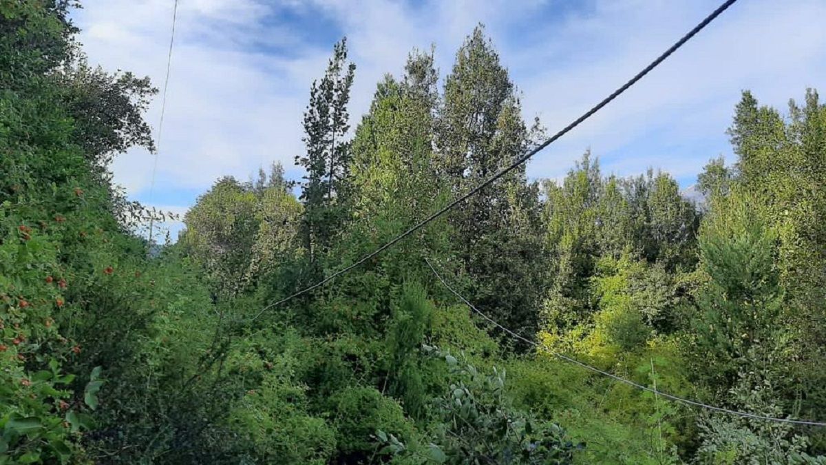 Foto: Andr&eacute;s Mermoud.