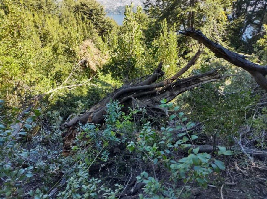 Foto: Andr&eacute;s Mermoud.