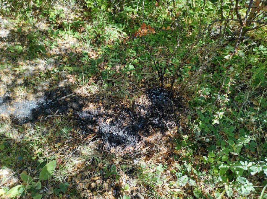 <p>Foto: Gustavo de Vera.</p>