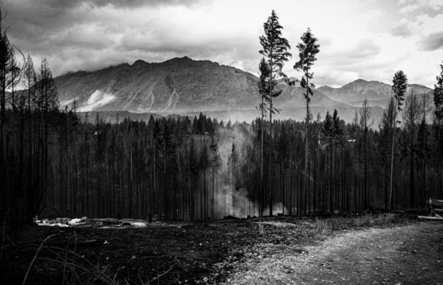 Argentina. Incendios y el discurso anti-mapuche