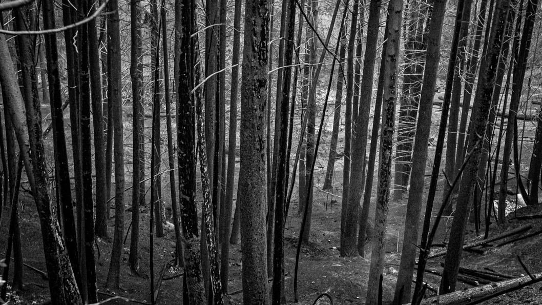 2021-03-10-Incendio-El-Hoyo-Euge-Neme-Patagonia-Chubut-6