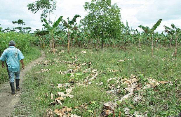 Colombia. El pasado del nuevo Defensor del Pueblo de Urabá, cuando “intimidó” a víctimas de despojo