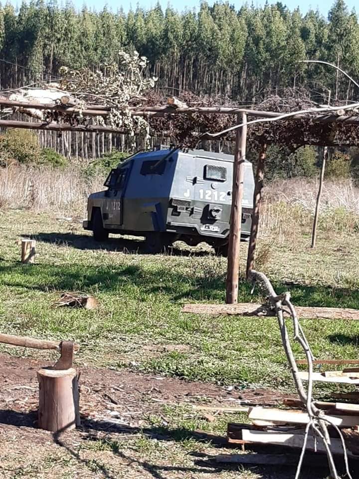 Puede ser una imagen de &aacute;rbol y al aire libre
