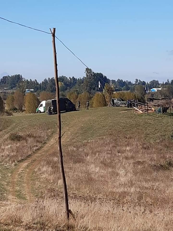 Puede ser una imagen de &aacute;rbol, naturaleza, cielo y c&eacute;sped