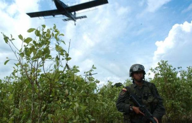 Colombia. Fumigar con glifosato es «es atentar contra miles de vidas»