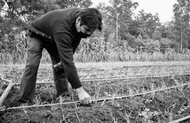 Argentina. La tenencia de la tierra sin mitos: una demanda que quiere ser ley