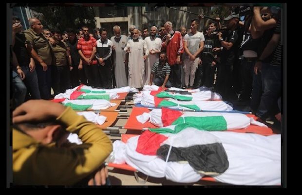 Palestina. 1000 imágenes de la agresión a Gaza