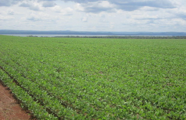 Ecología Social. Brasil depende de lluvias que necesitan un sostén forestal