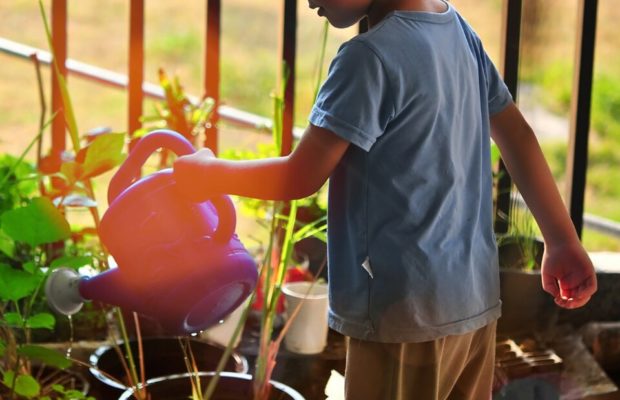 Argentina. ¿Qué establece Ley de Educación Ambiental?