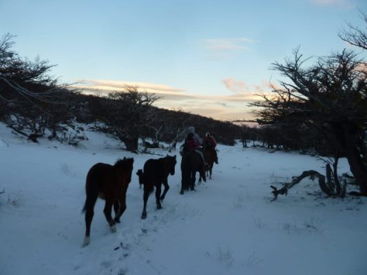 Nación Mapuche. Ñorquinco: mujeres mapuches en defensa de sus territorios