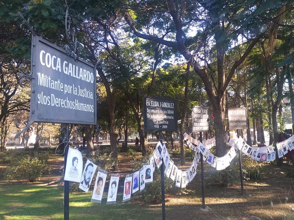 Puede ser una imagen de &aacute;rbol e al aire libre