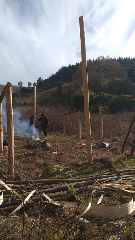 Puede ser una imagen de de pie, al aire libre y árbol