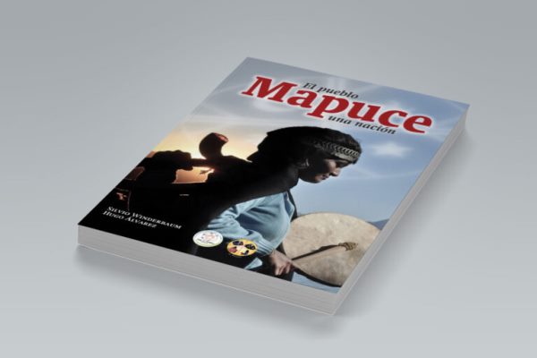 Nación Mapuche. “La tenencia de la tierra, tema central y base de toda la conflictividad”