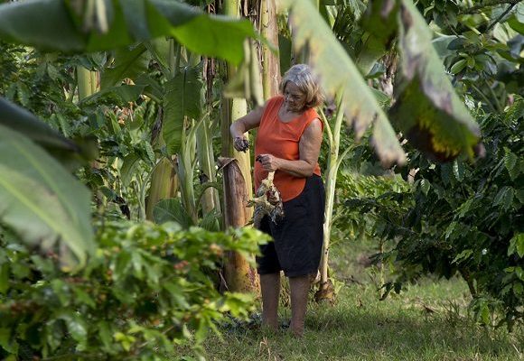 Feminismos. De surcos, empoderamientos y gentes “de carne y hueso”