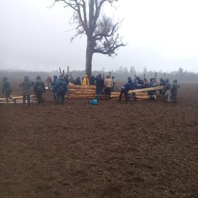 Nación Mapuche. Lof Xapilwe comienza recuperación productiva y construcción de ruka al interior de fundos UFRO, Wuichawe y El Nudo