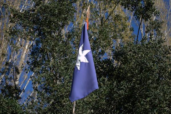 Nación Mapuche. Comunidades y la Coordinadora Arauco Malleco CAM plantan arboles nativos en fundo recuperado a la forestal Mininco, y reivindicando a su peñi Pablo Marchant “Toño”