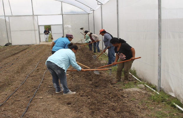 Honduras. La pobreza impacta directamente en la mujer rural